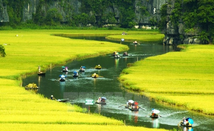 Du Lịch Hoa Lư – Hang múa - Tam Cốc 1 Ngày