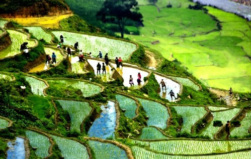 Du lịch Sapa - Bắc Hà 2 Ngày 3 Đêm